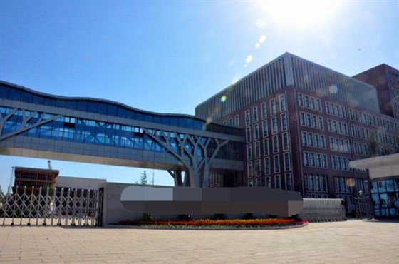 国外某石化化工集团大门