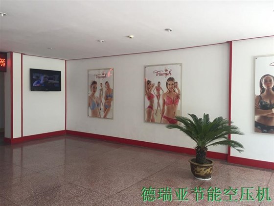 德国黛安芬内部