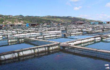 德瑞亚空压机在连云港生物工程行业的应用 德瑞亚空压机在连云港生物工程行业的应用