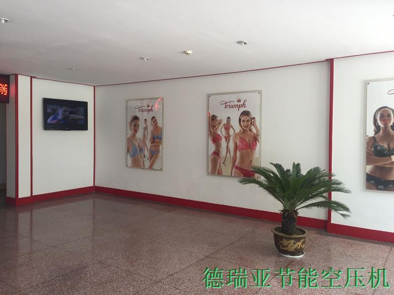 德国黛安芬内部